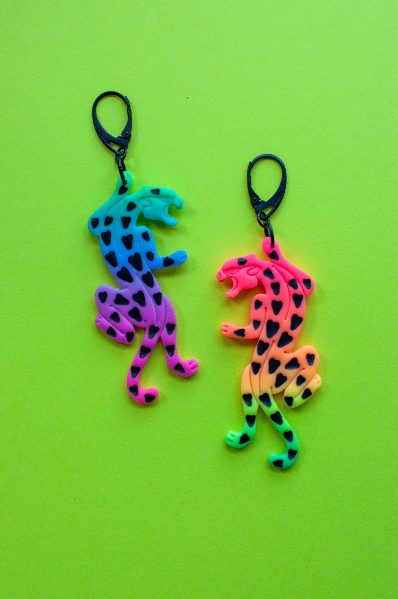Rainbow Ombre Jaguars