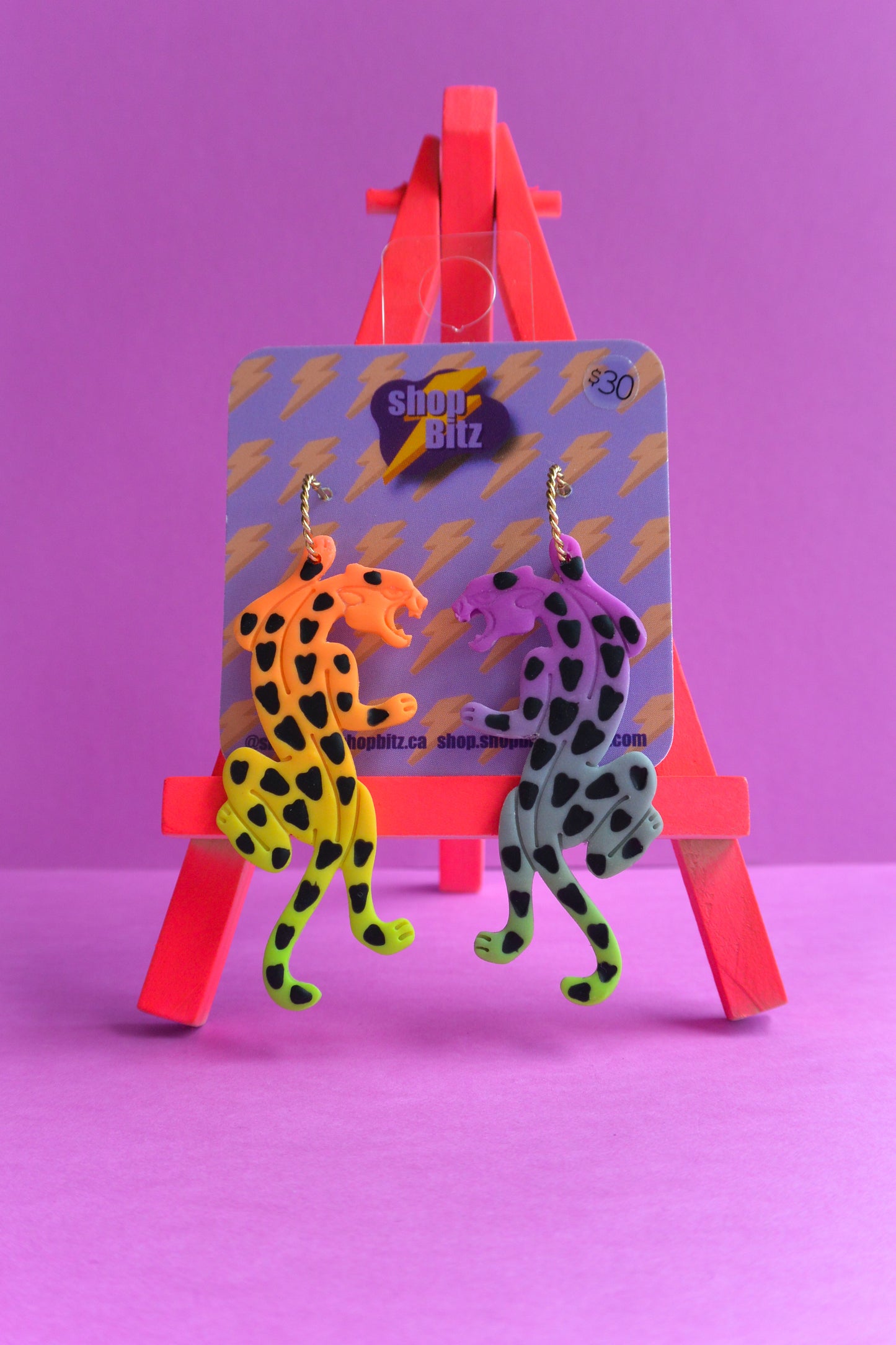 Rainbow Ombre Jaguars