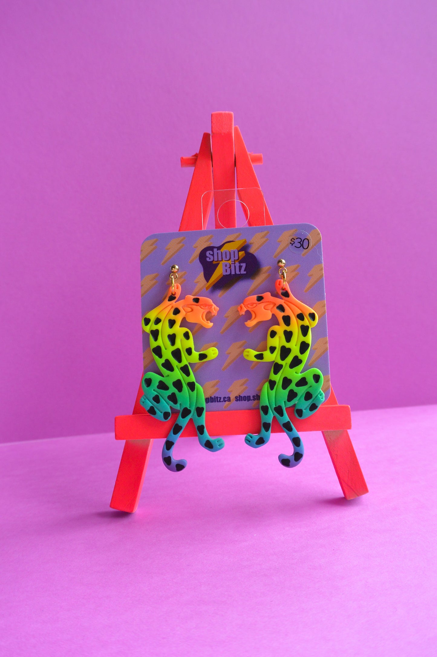 Rainbow Ombre Jaguars