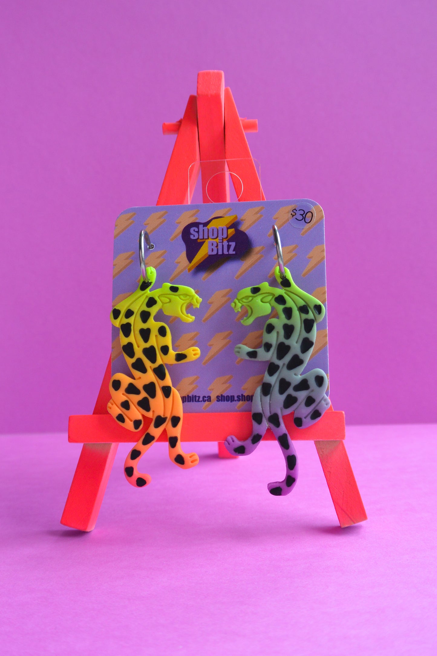 Rainbow Ombre Jaguars