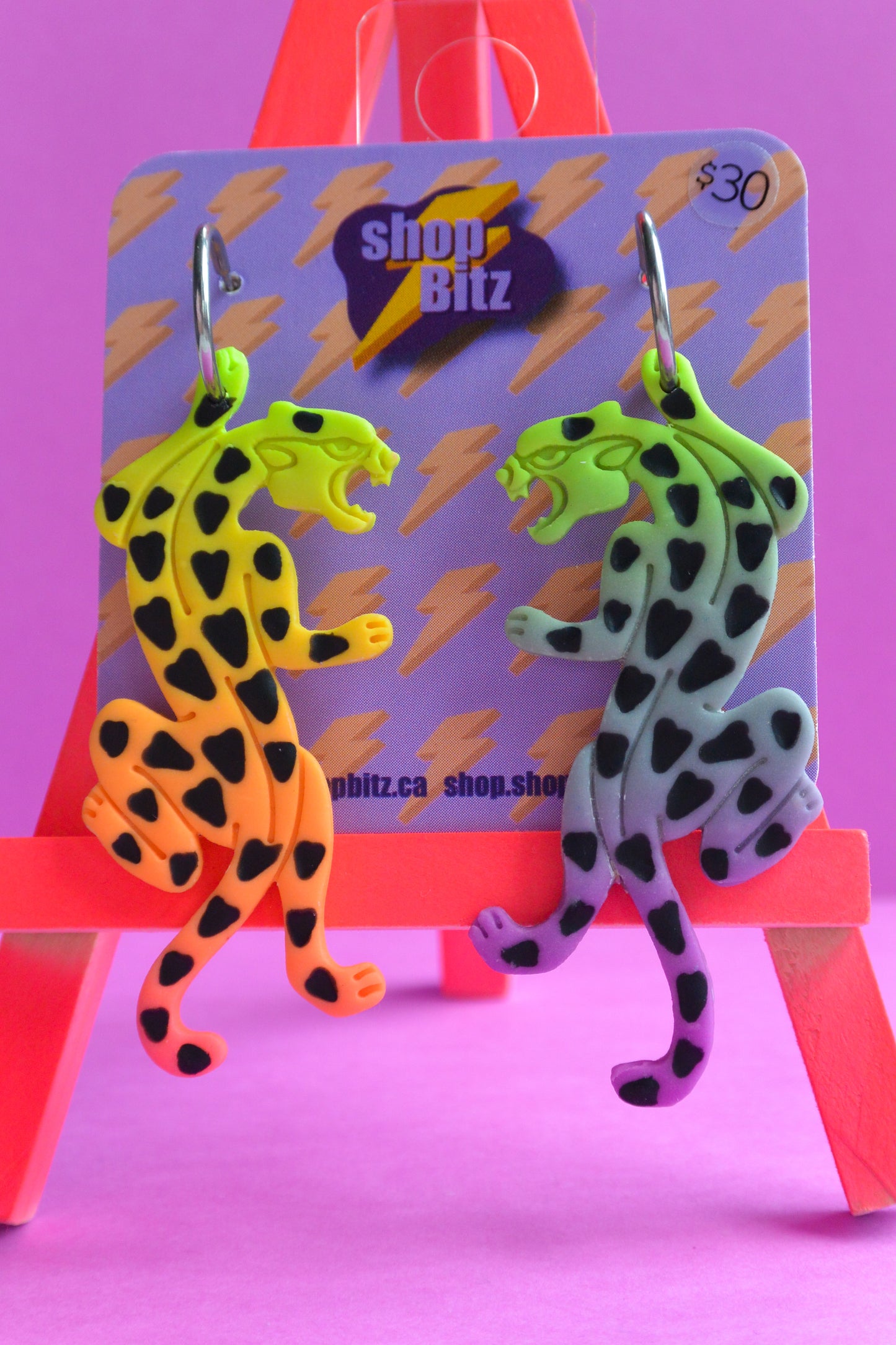 Rainbow Ombre Jaguars