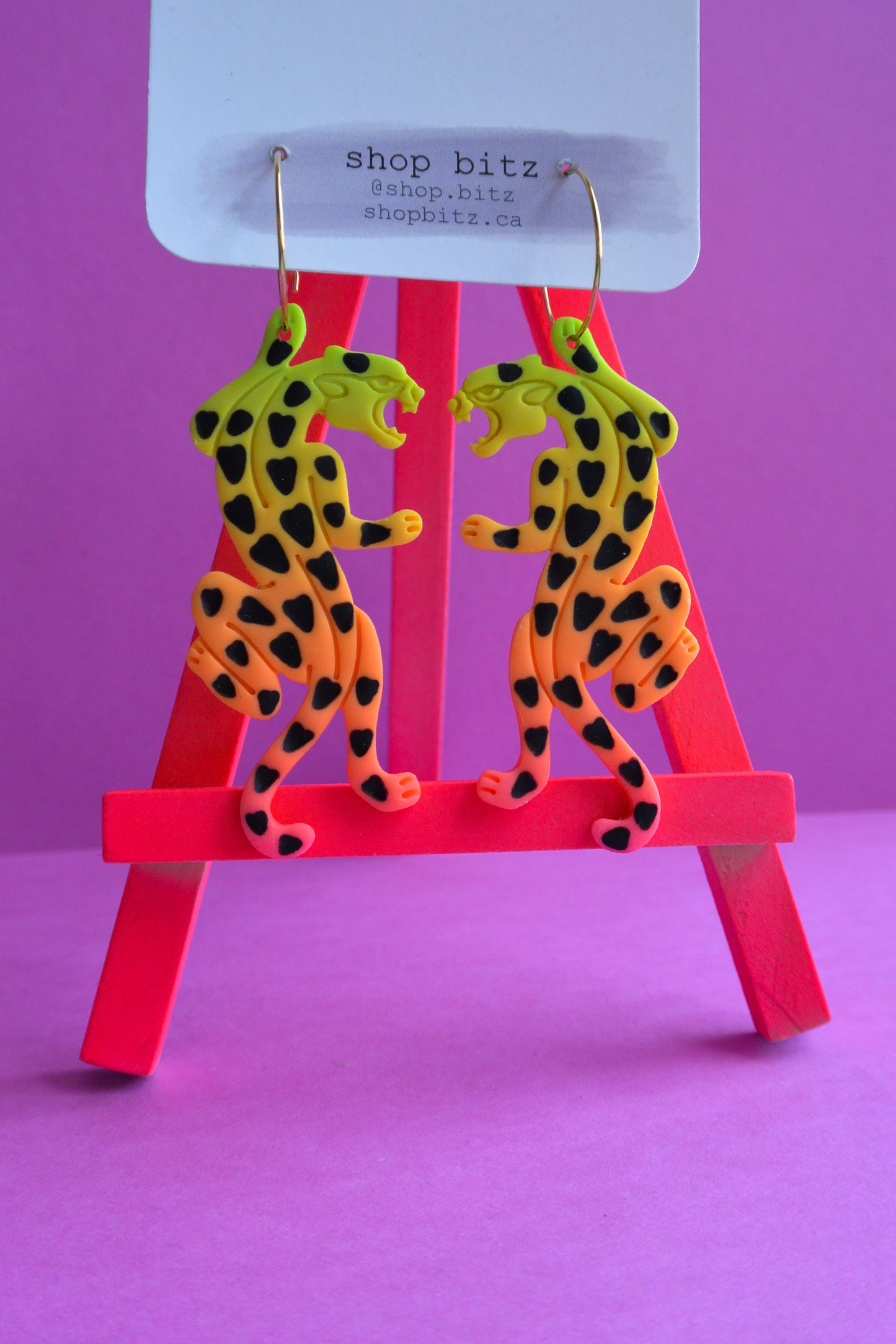 Rainbow Ombre Jaguars