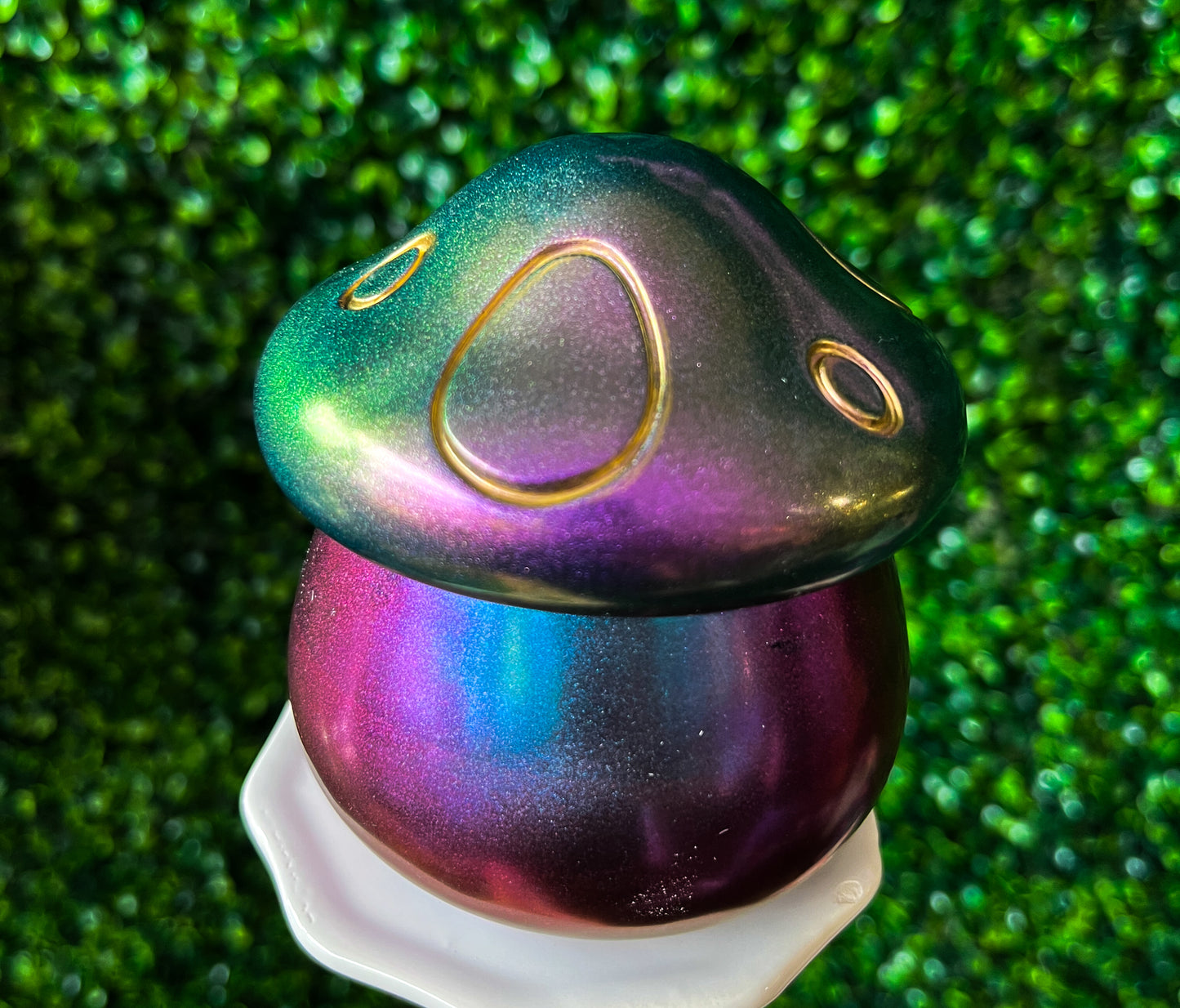 Colour Change Mushrooms