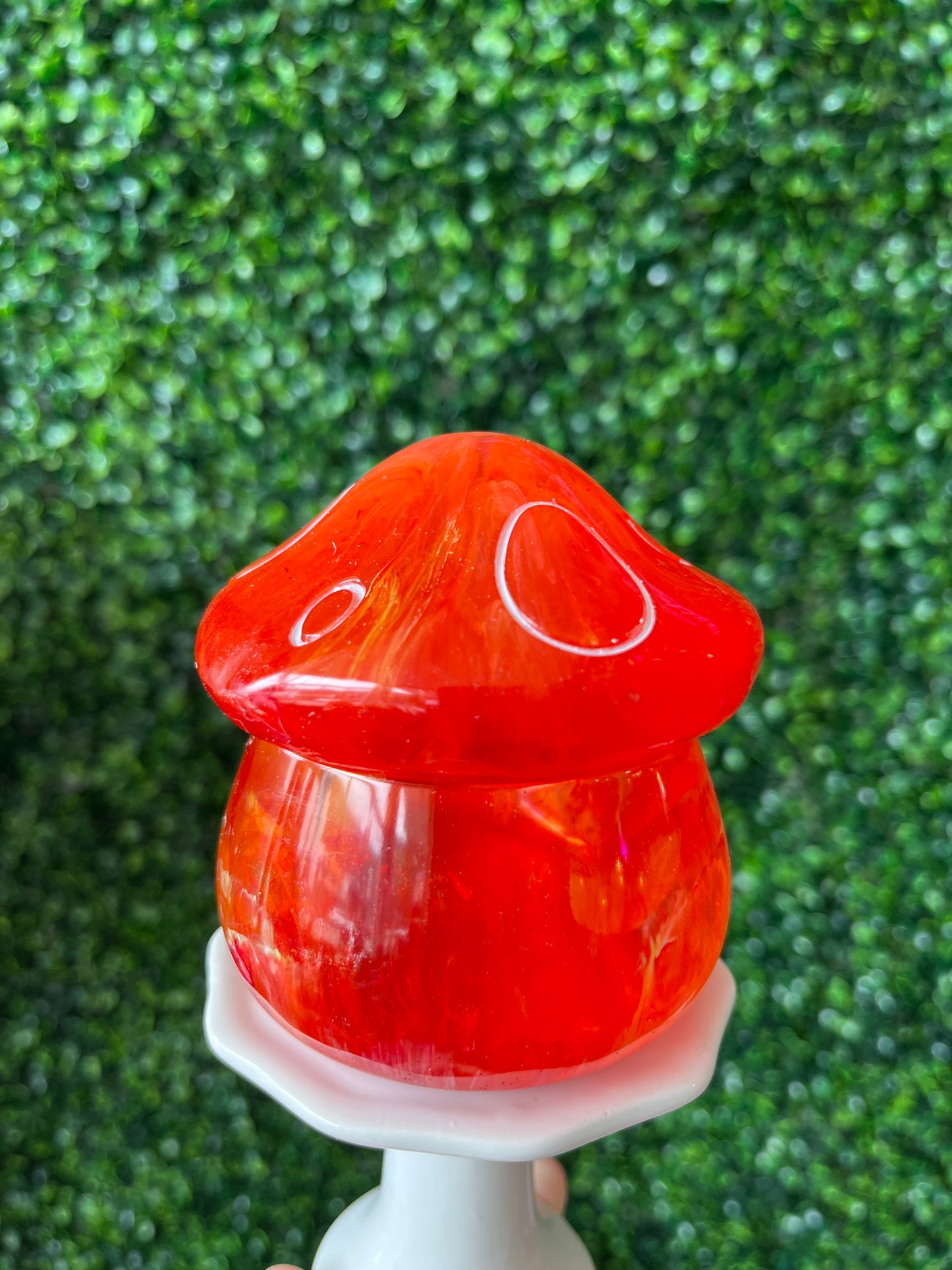 Red and Orange Mushroom