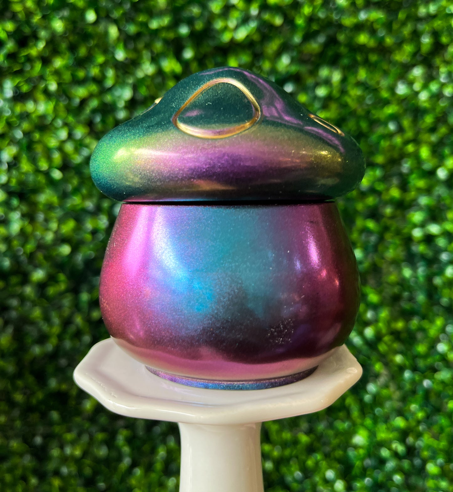 Colour Change Mushrooms