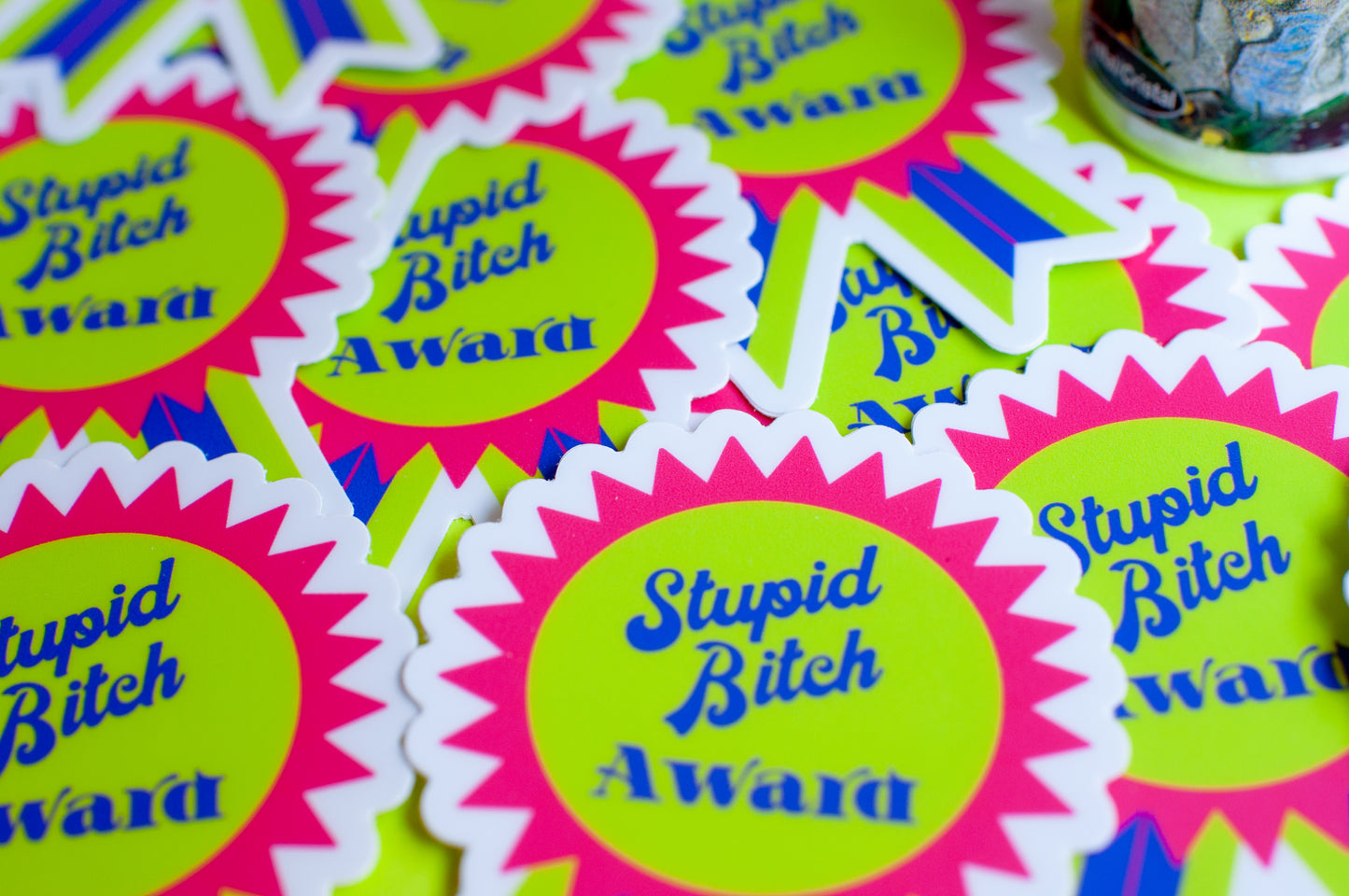 Stupid Bitch Award
