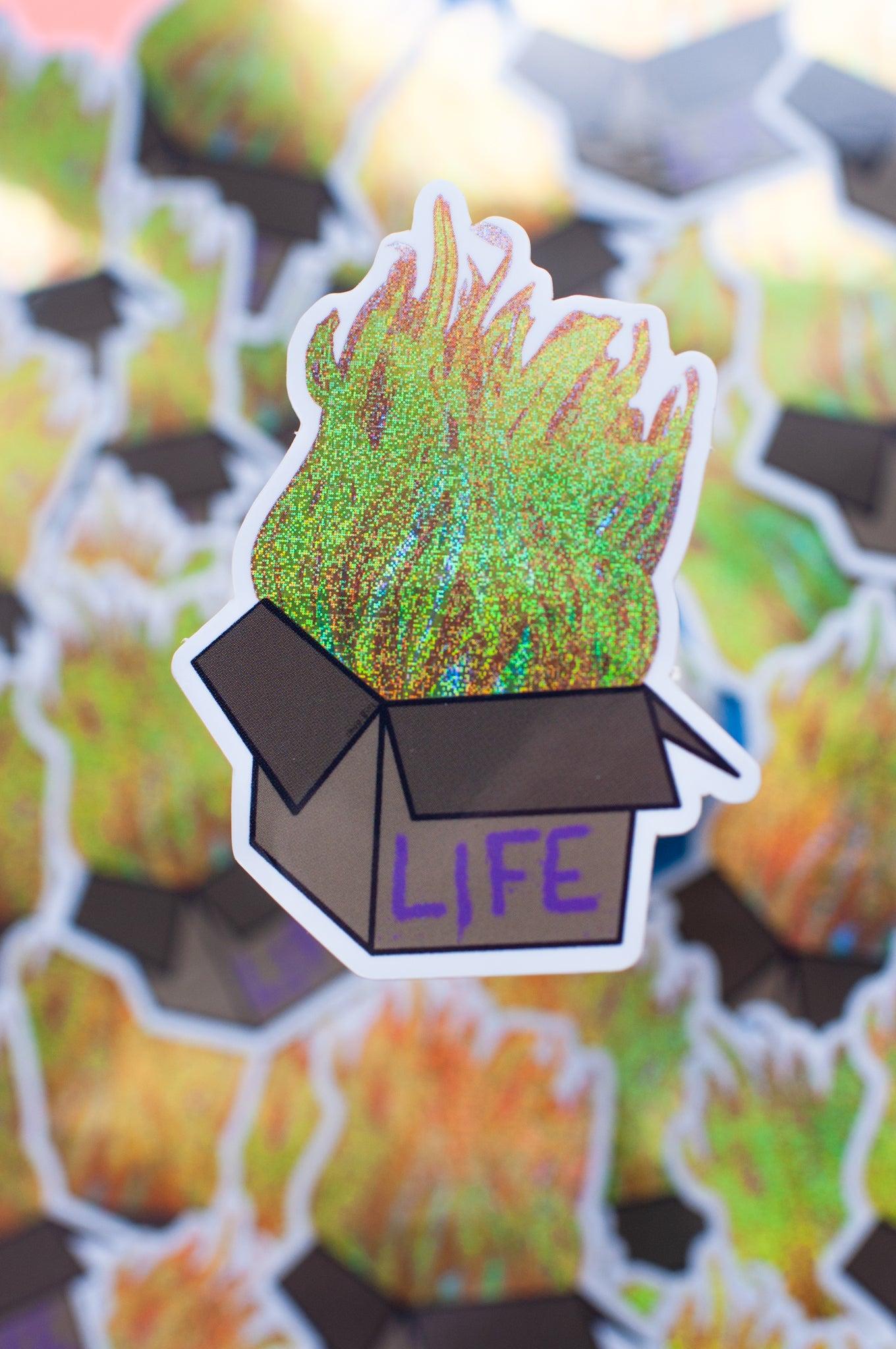 Life Fire