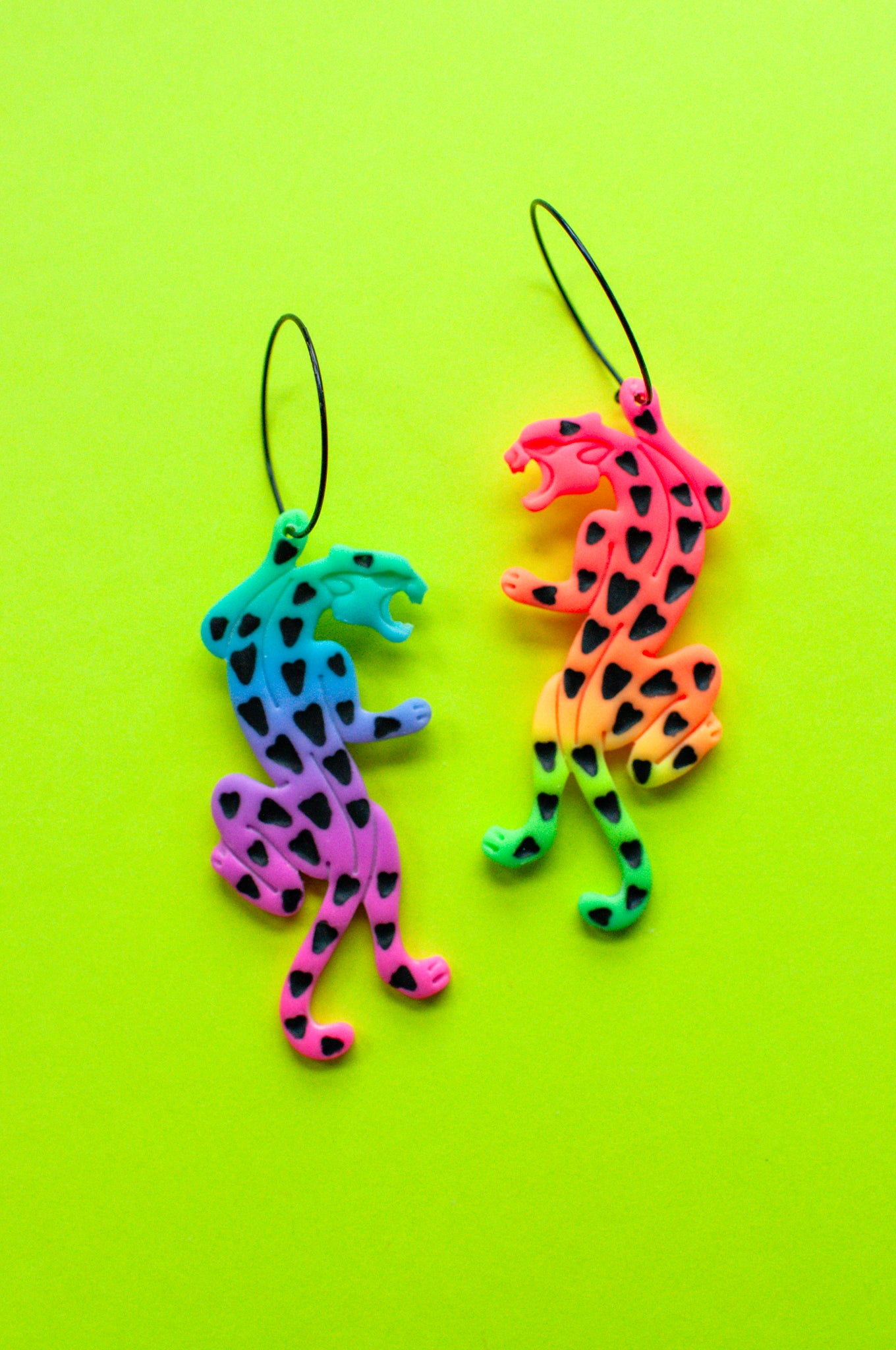 Rainbow Ombre Jaguars