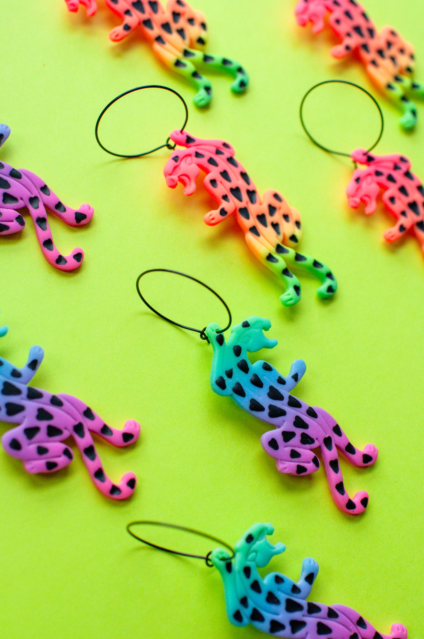 Rainbow Ombre Jaguars