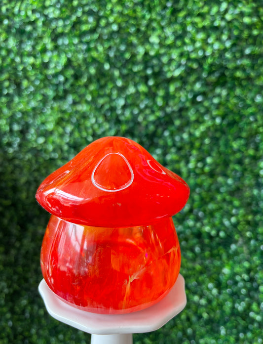 Red and Orange Mushroom